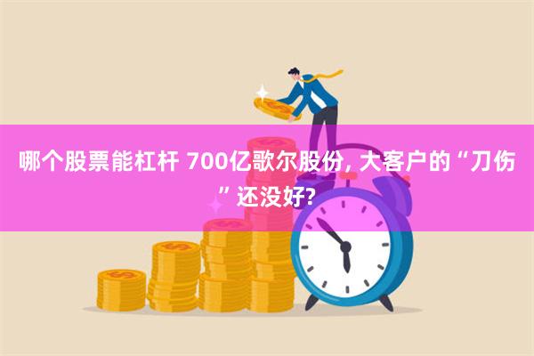 哪个股票能杠杆 700亿歌尔股份, 大客户的“刀伤”还没好?