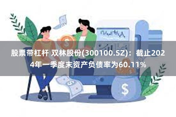 股票带杠杆 双林股份(300100.SZ)：截止2024年一季度末资产负债率为60.11%