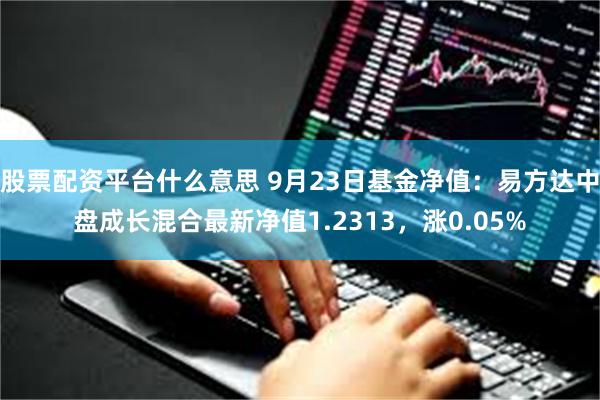 股票配资平台什么意思 9月23日基金净值：易方达中盘成长混合最新净值1.2313，涨0.05%