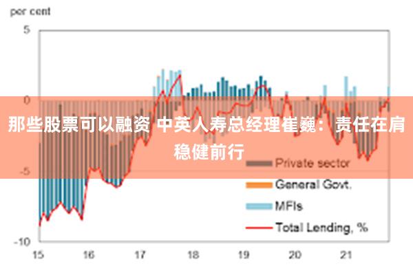 那些股票可以融资 中英人寿总经理崔巍：责任在肩 稳健前行