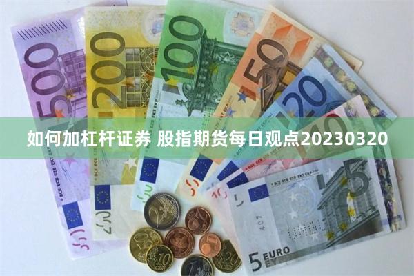 如何加杠杆证券 股指期货每日观点20230320