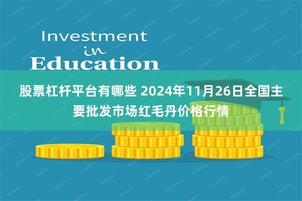 股票杠杆平台有哪些 2024年11月26日全国主要批发市场红毛丹价格行情