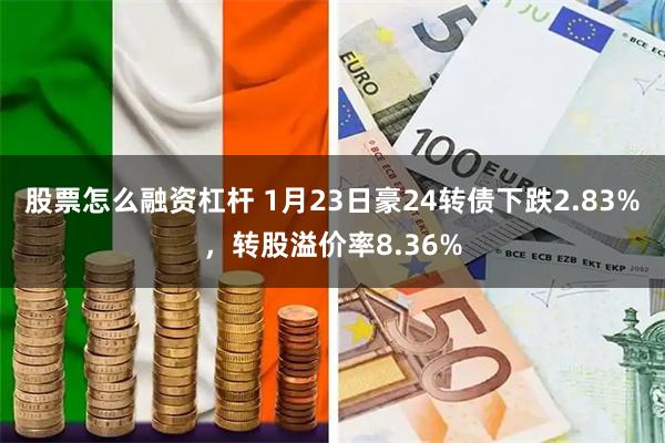 股票怎么融资杠杆 1月23日豪24转债下跌2.83%，转股溢价率8.36%