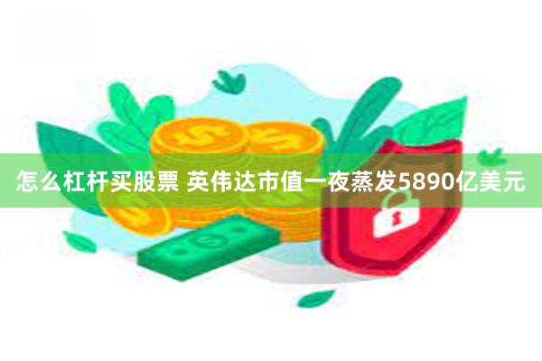 怎么杠杆买股票 英伟达市值一夜蒸发5890亿美元